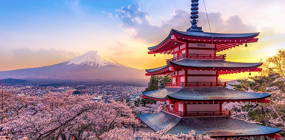 日本でのビジネス拡大