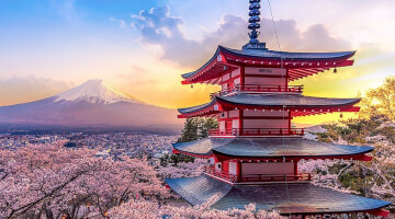 日本進出支援サービス