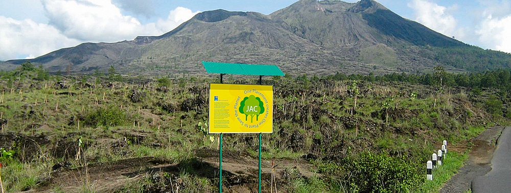 JAC Recruitment Reforestation Initiative plants 100,000 Tree